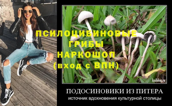 apvp Аркадак