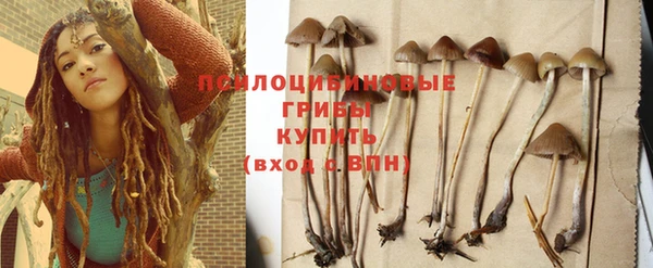 меф Новодвинск