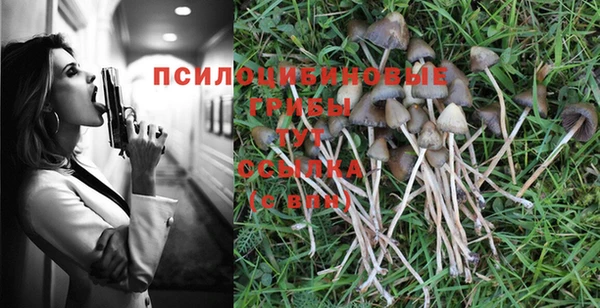 mix Арсеньев
