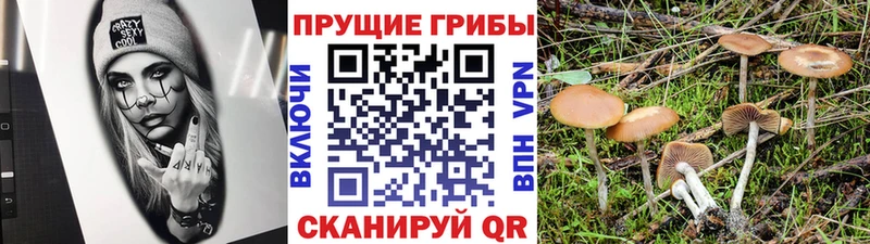 Галлюциногенные грибы MAGIC MUSHROOMS  даркнет сайт  Приморск 