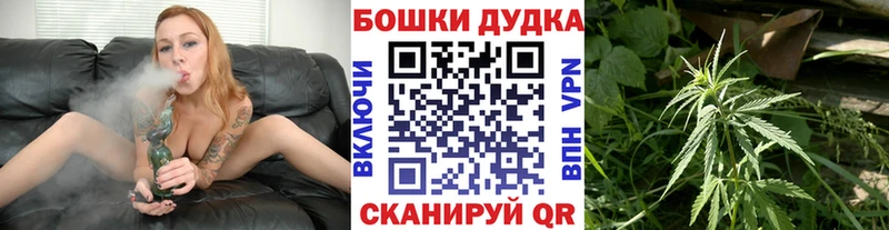 Бошки Шишки конопля  блэк спрут ссылка  Приморск  купить закладку 